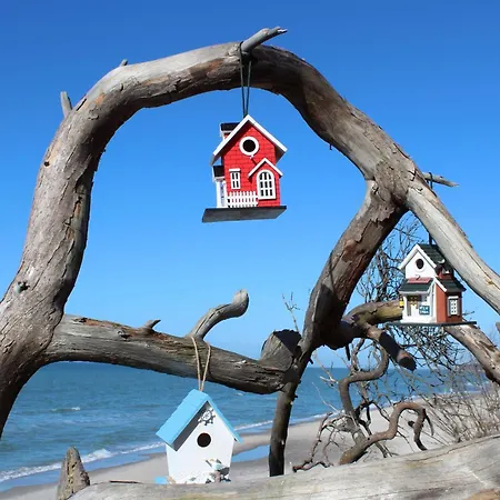 Schietbüdel Last Minute-feedbackbuchung * Born