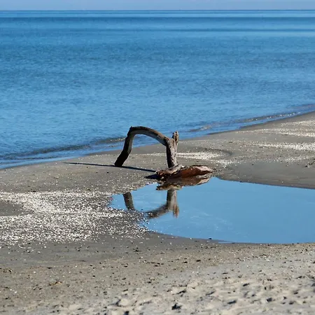 Apartment Schietbüdel Last Minute-feedbackbuchung Born