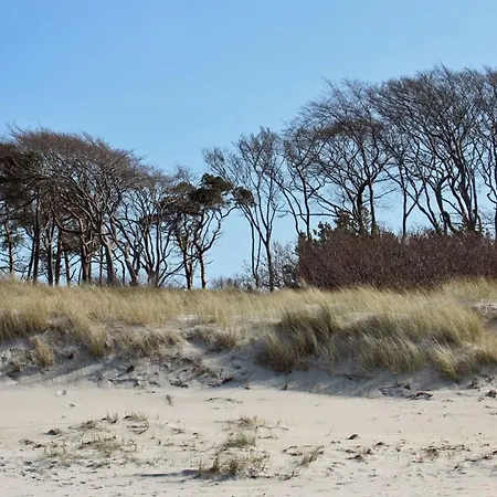 Schietbüdel Last Minute-feedbackbuchung